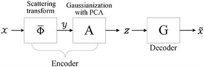 Fractional Wavelet-Based Generative Scattering Networks